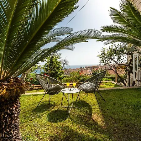 Apartment Oasis